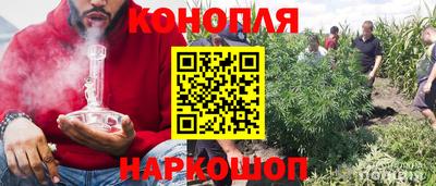 шишки Краснокаменск