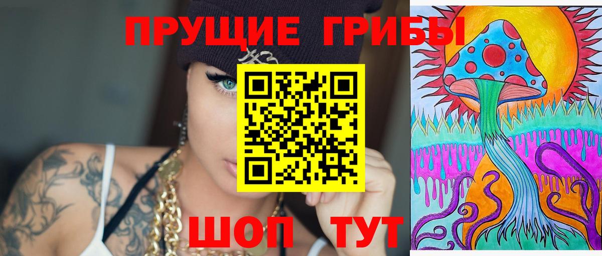 Вязники  Псилоцибиновые грибы мухоморы  Вход с VPN  Псилоцибиновые грибы мицелий 